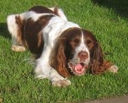 click for a larger view